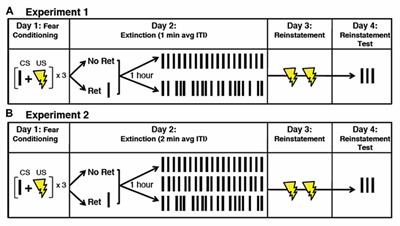 Reconsolidation-Extinction Interactions in Fear Memory Attenuation: The Role of Inter-Trial Interval Variability